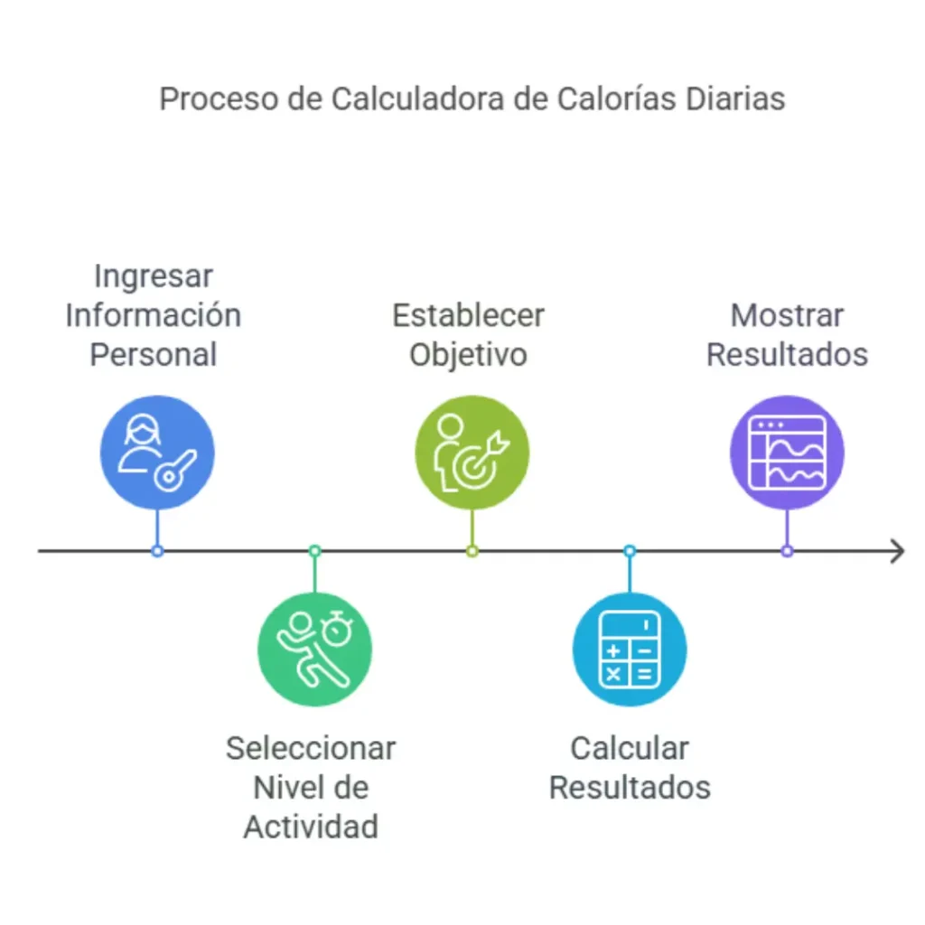 ¿Cómo se calculan las calorías diarias con nuestra herramienta