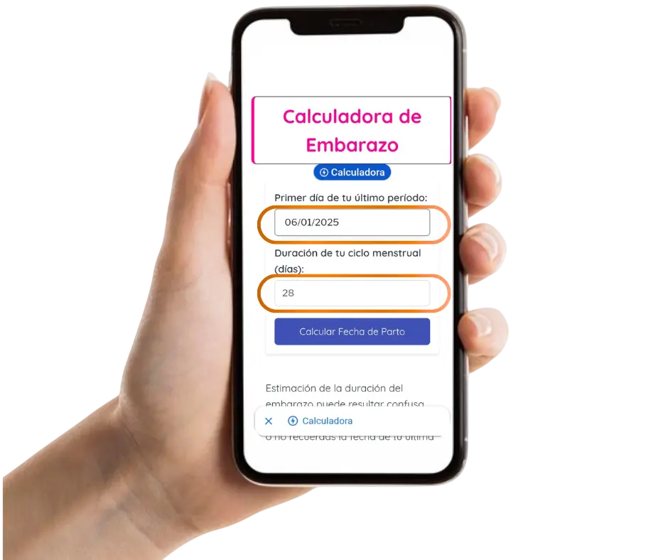 Paso 1: Ingresa Tu Información Básica