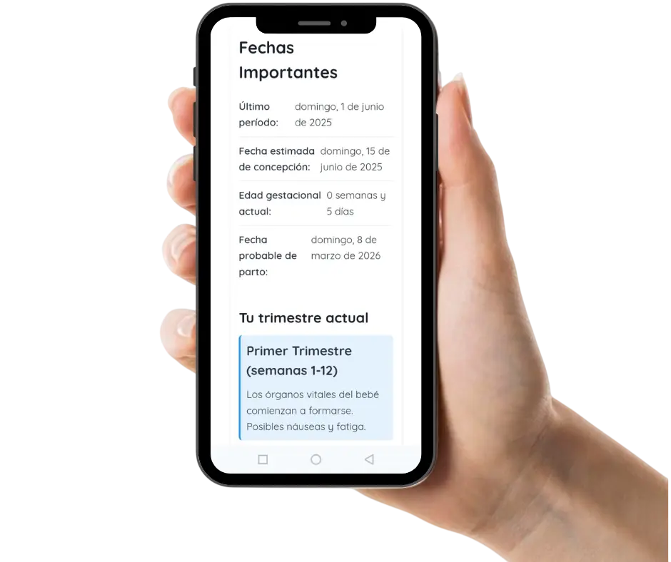 Paso 2: Revisa Tus Resultados Personalizados