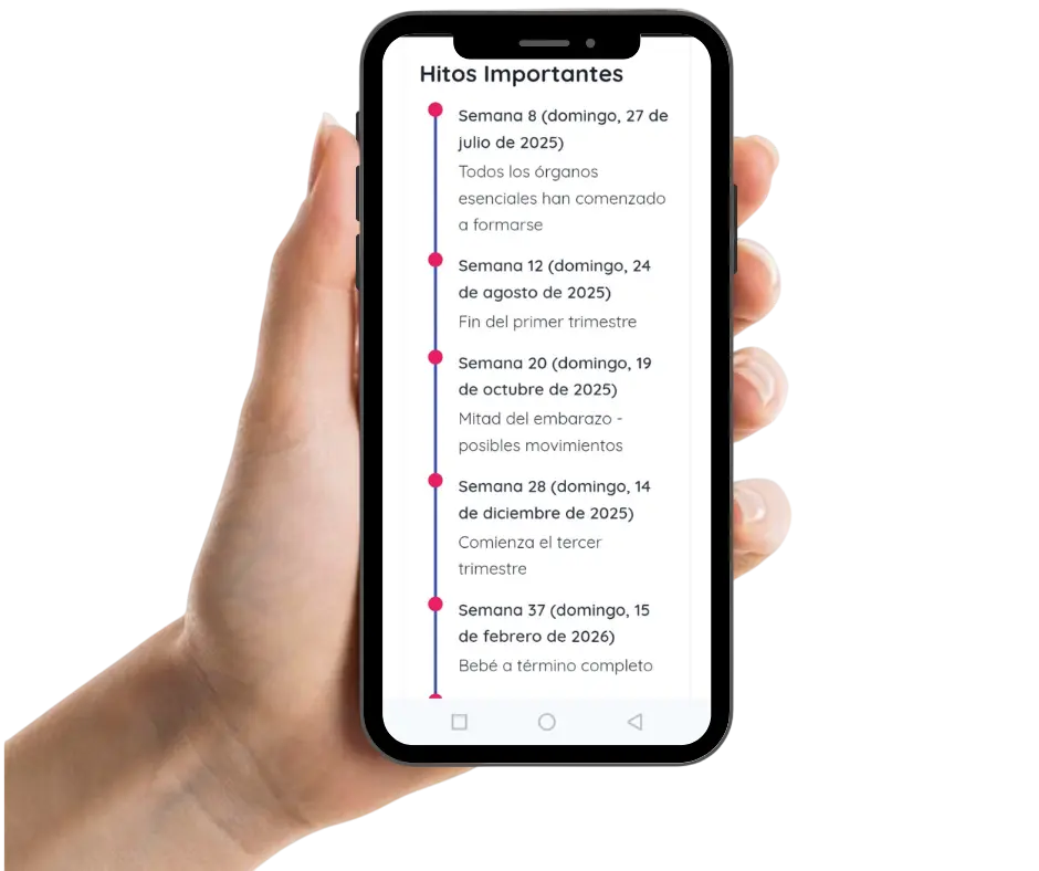 Paso 3: Explora los Principales Hitos del Embarazo