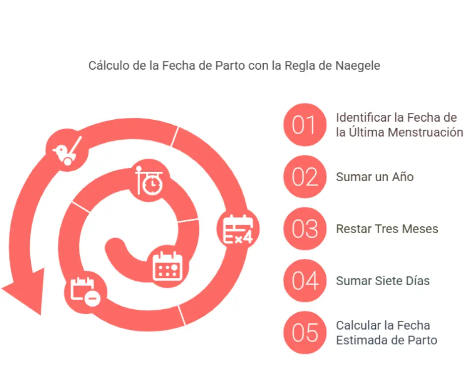 Uso de la Regla de Naegele