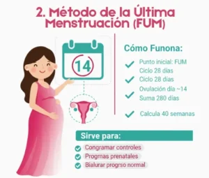 2. Método de la Última Menstruación (FUM)