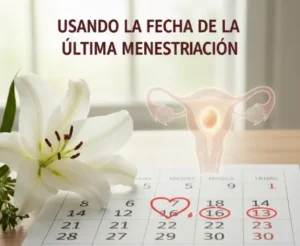 Días Fértiles Basados en la Ovulación-
