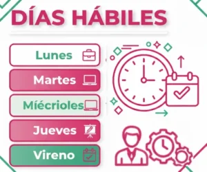 Diferencia en Los Días Incluidos en Días hábiles