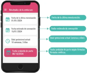 Paso 2 Comprende los Resultados