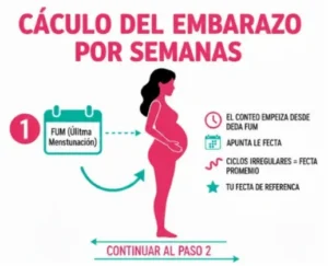 Paso 2 Cuenta las Semanas