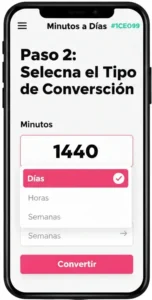 Paso 2 Selecciona el Tipo de Conversión