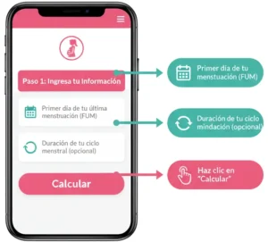 Usando Nuestra Calculadora Online