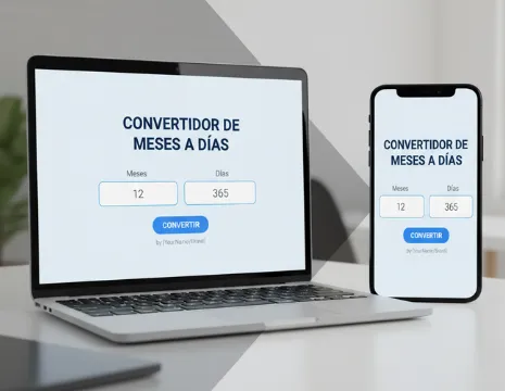 Convertidor de Meses a Días